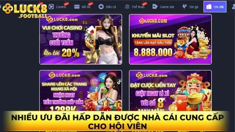 Nhiều ưu đãi hấp dẫn được nhà cái cung cấp cho hội viên