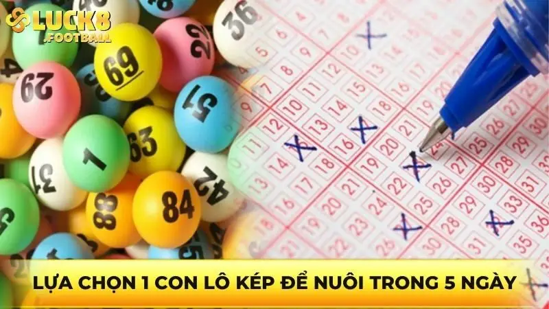 Lựa chọn 1 con lô kép để nuôi trong 5 ngày