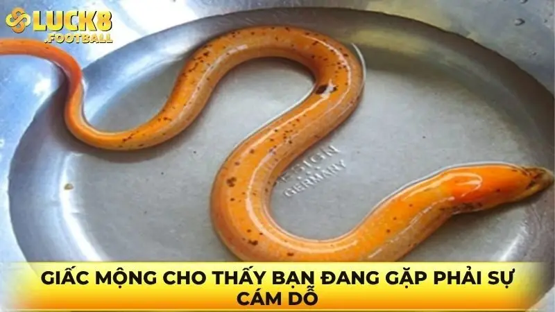 Giấc mộng cho thấy bạn đang gặp phải sự cám dỗ