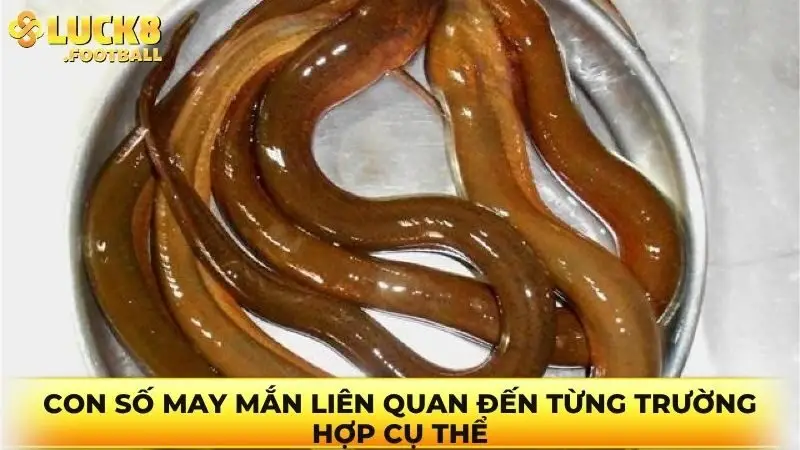 Con số may mắn liên quan đến từng trường hợp cụ thể